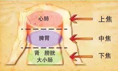 中焦有火下焦寒,怎么调?