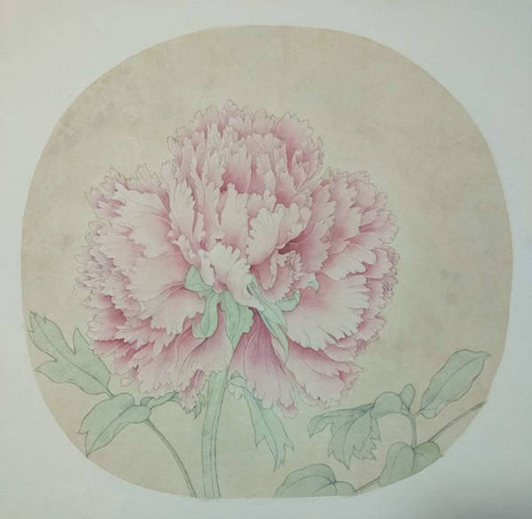 品字形牡丹的工笔画临摹步骤