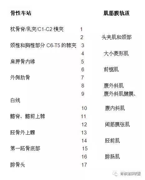 人体12条筋膜链解析及具体手法操作