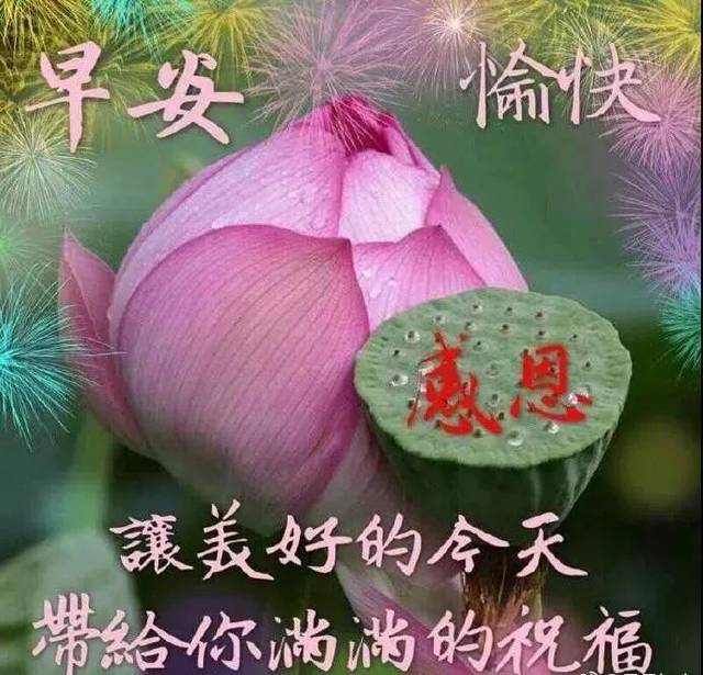 早晨好阳光祝福语表情包 早晨好问候语图片大全