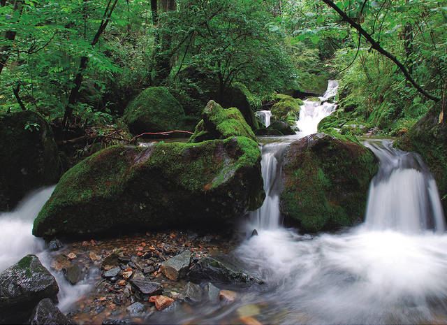 2019年陕西新开景区:商洛江山风景区