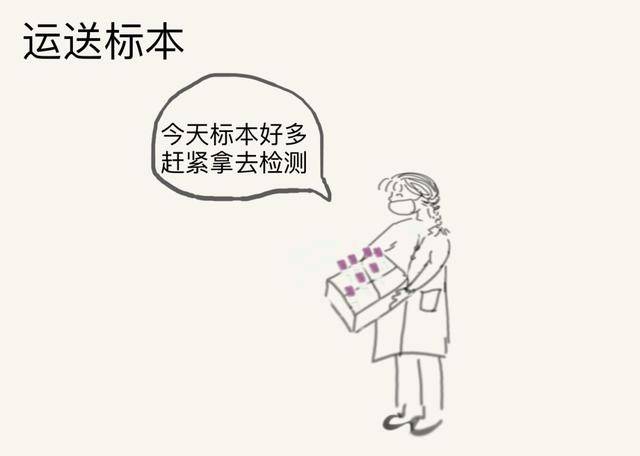 为什么明明先抽血,报告却出得慢?来自检验科医生的权威解答