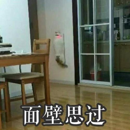 【搞笑表情包小师妹宣】 面壁思表情包面壁面币小师妹