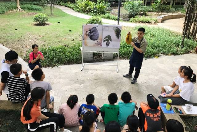 学弹尤克里里到户外了解自然科普,广州小候鸟这个暑假