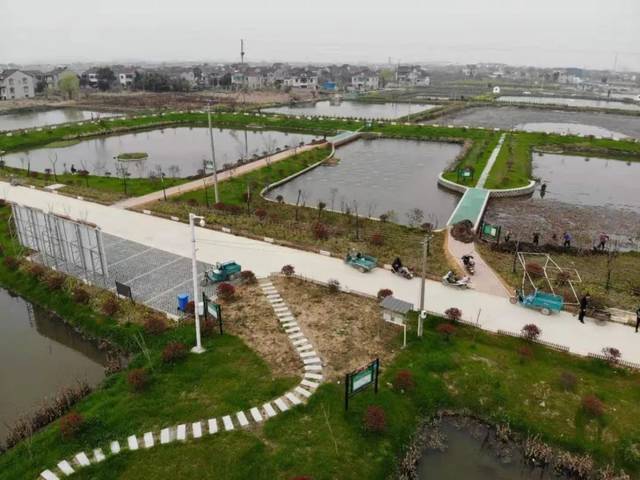 中国渔业协会授予浙江省菱湖镇中国淡水渔都,中国生态