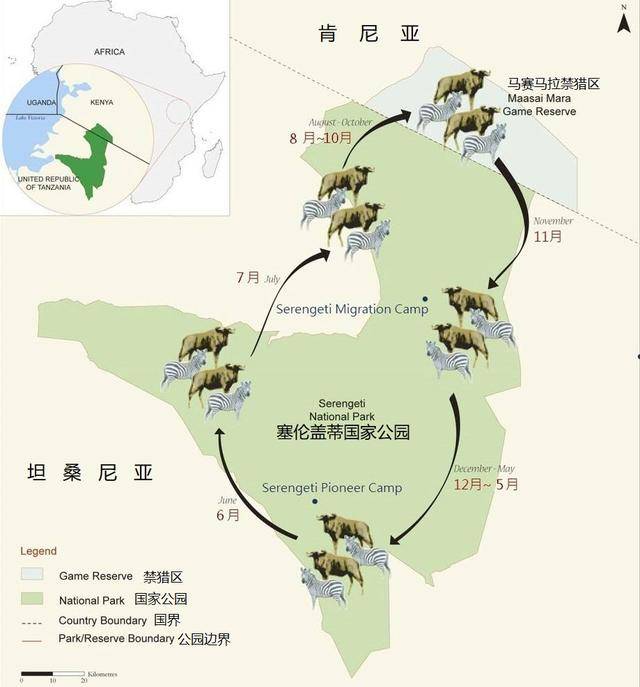 生活在广阔的非洲热带草原中的动物,为什么要不停地来回迁徙?