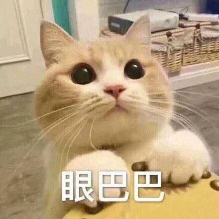 可爱猫猫的表情包合集|咋回事呢,小老弟