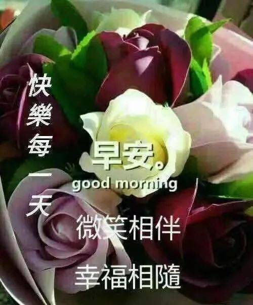 最美的早安祝福问候语动态美图,最新版的早上好祝福送