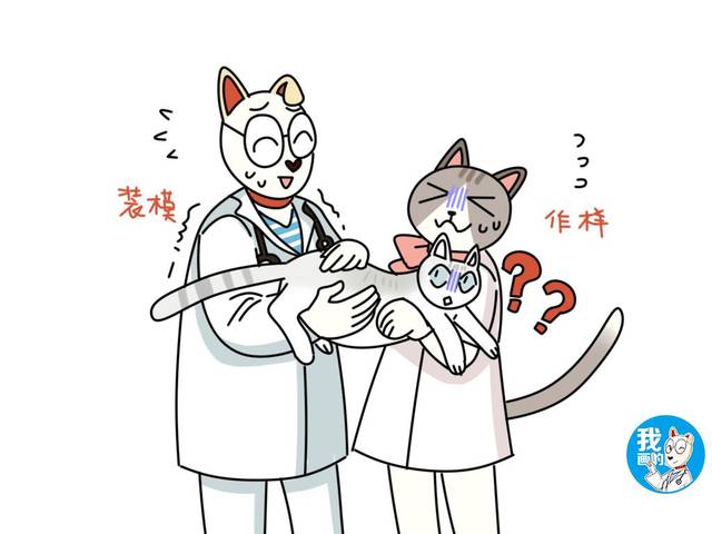 抢猫大戏也是难为医生了