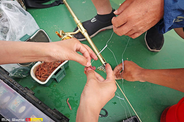 海钓的时候用沙蚕好像挺管用,咬钩的感觉要频繁一些.