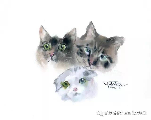 日本京都画师村上丰,用20张猫告诉你,水彩画最难技法