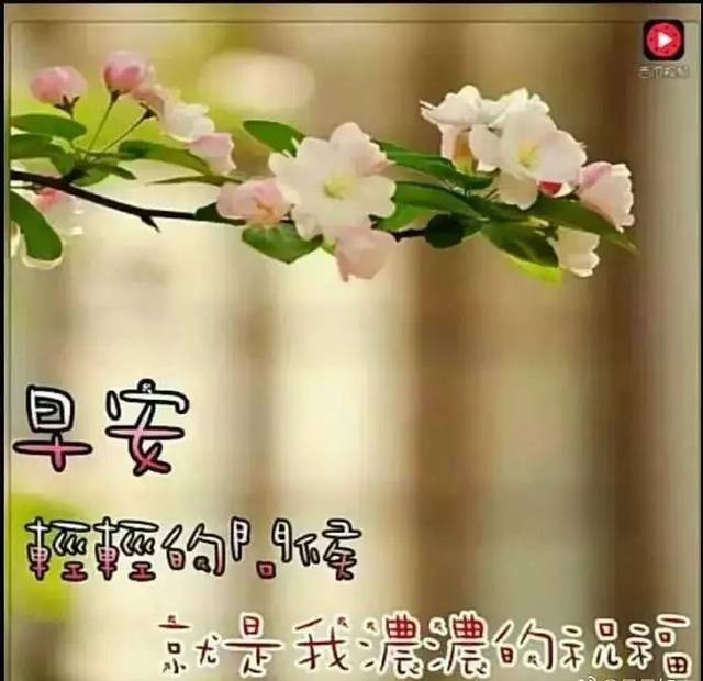 清晨阳光暖心的早上好祝福语温馨短信,早安动画问候表情图片