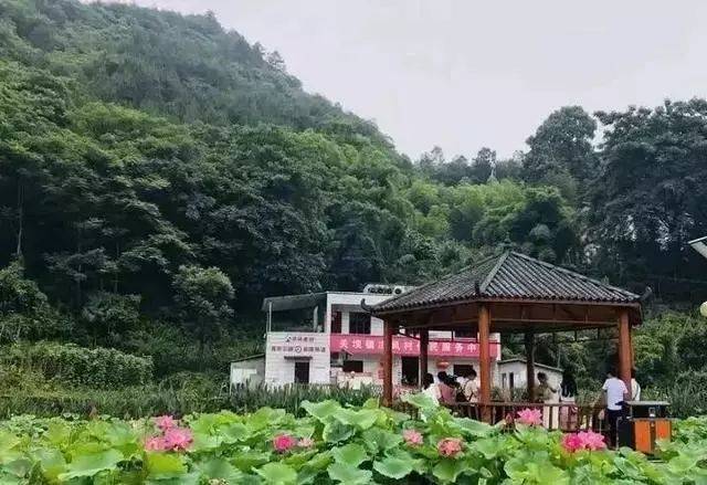 万盛经济技术开发区关坝镇凉风村