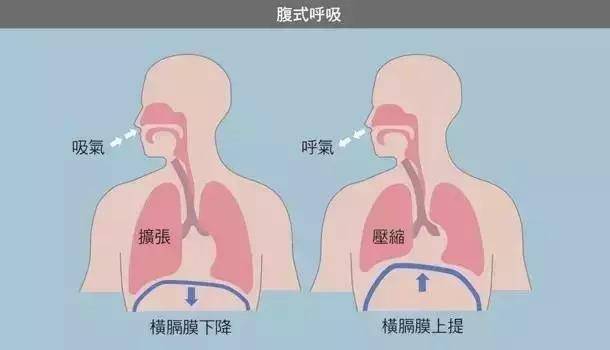 食管裂孔疝是如何引起的?和胃食管反流病有什么关系?