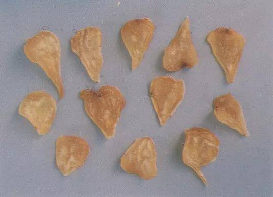 鸿恩|孕妇慎用药"如何用之得当?肉桂,干姜,附子保胎案例三则