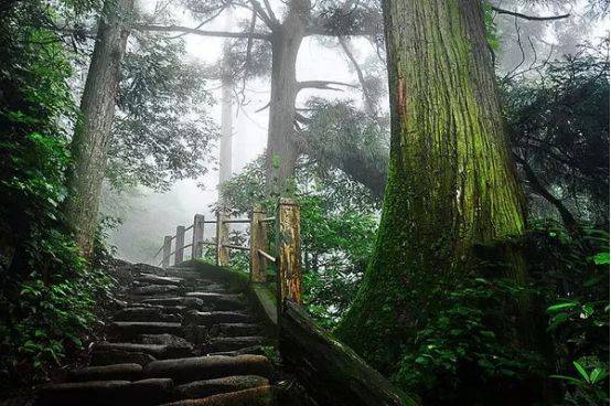 天目山风景区