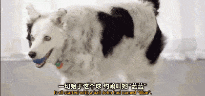 93a21343b7124b0c84981b5cd7bd54f3.gif