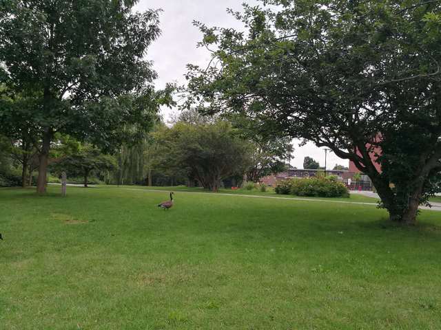 滑铁卢大学学费