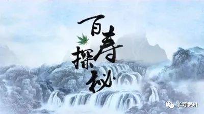 今晚9:40 跟随广西卫视《百寿探秘》栏目探寻