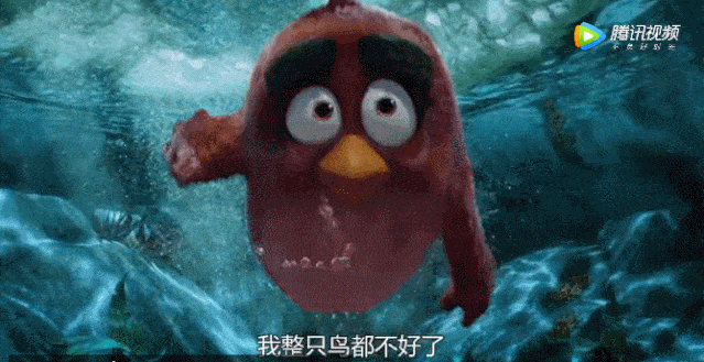 愤怒的小鸟?急眼的家雀儿!