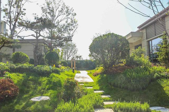 中国古典平面植物种植设计理念园林设计师百度图片