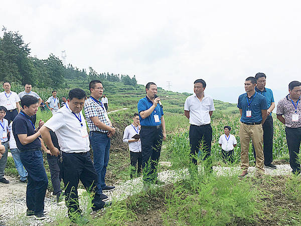 县委副书记,县长查世海,县政协主席潘龙,县委副书记付明勇,罗强,龙