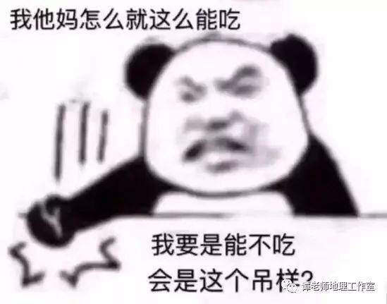 【搞笑地理】靠"萌"征服世界的滚滚为什么表情包那么猥琐?