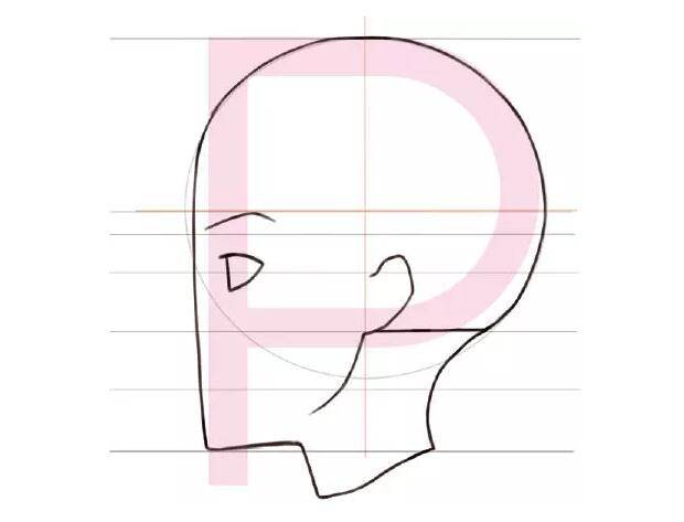 3.根据辅助线绘制五官 从眉间往下画出脸的下半部分.