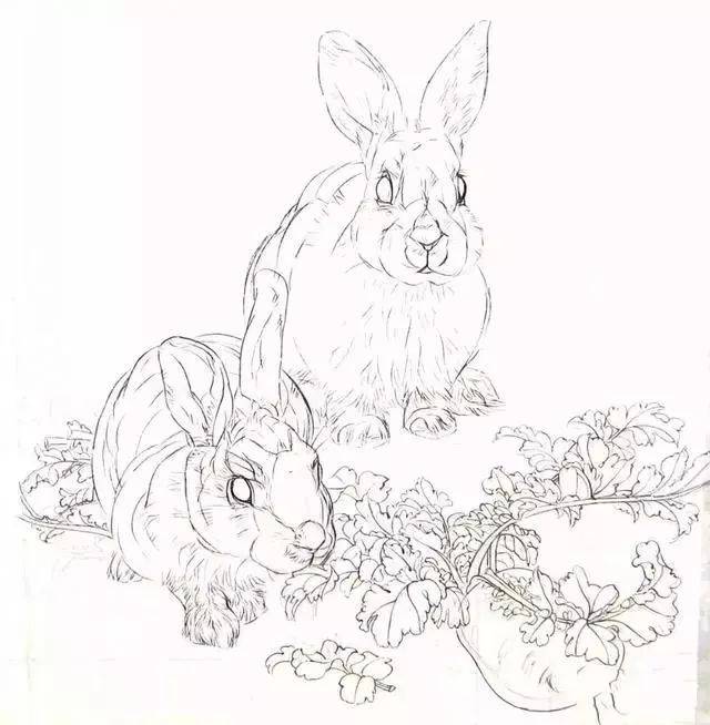 怎么画兔子?工笔画法分步示范讲解,兔子画