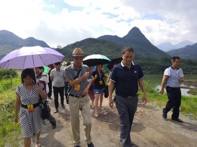 【县乡人大】阳山县黎埠镇开展人大代表集中视察活动