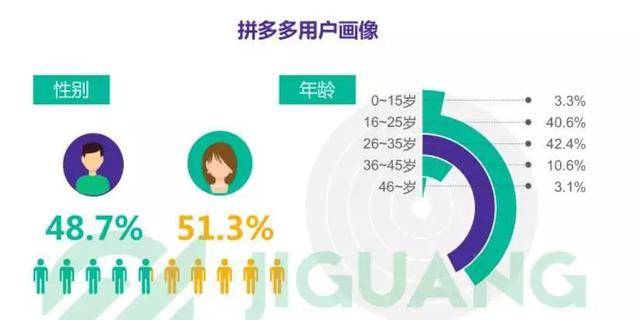 在拼多多的用户画像中,16-25岁,26-35岁的青年用户占比最大,而90后正