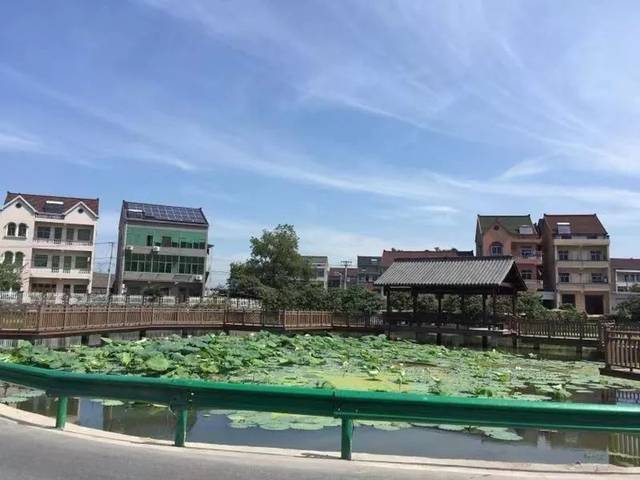 塘栖镇 塘北村,邵家坝村,超丁村,宏磻村,泰山村,超山村,西苑村 鸭兰