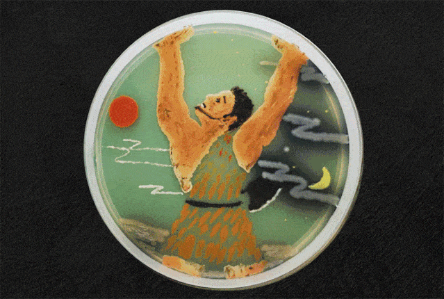 所有人,关注第三届微生物培养皿艺术大赛赛况,200多幅参赛作品已入围