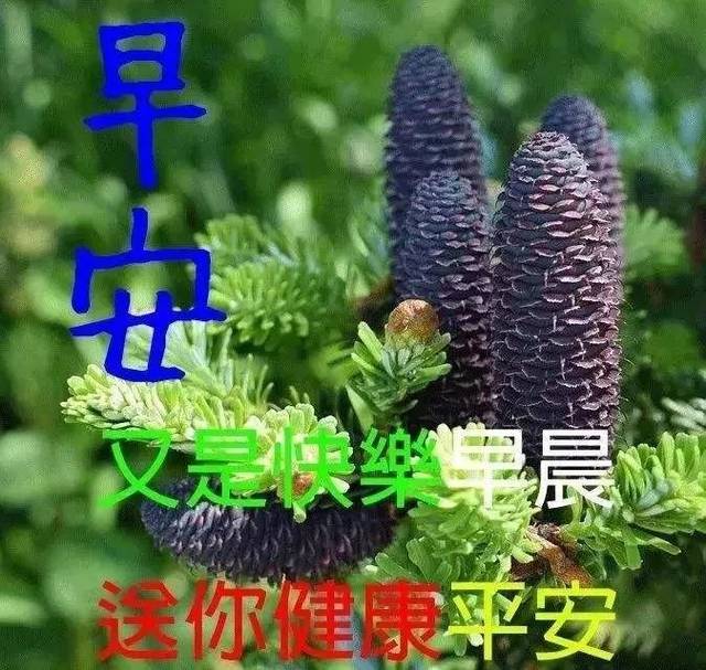 星期五早上好祝福问候语图片,暖心的早上好动态表情图片