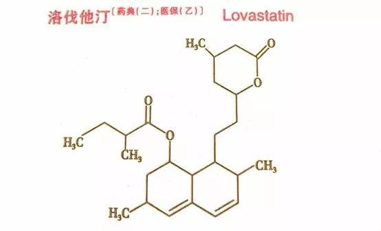 由于每种他汀类药物的结构不同,其理化性质也各有特点,所以在药理作用
