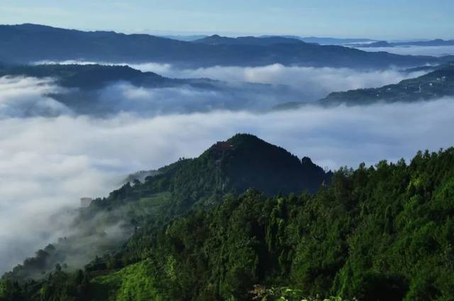 空山天盆景区