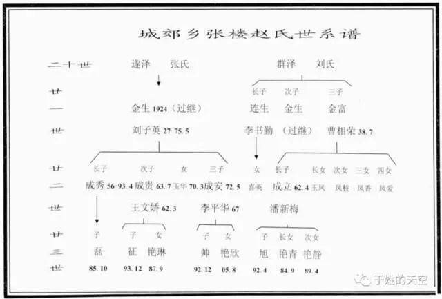 九种常见的家谱格式