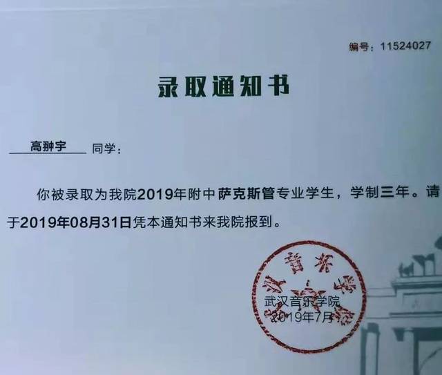 全国第一┆高翀宇同学被武汉音乐学院录取