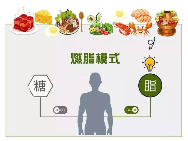 什么是低碳饮食?适合所有人吗?一篇告诉你真相!