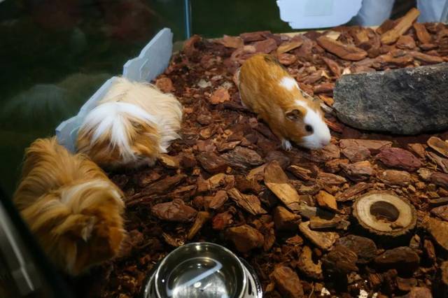 啤酒节系列报道