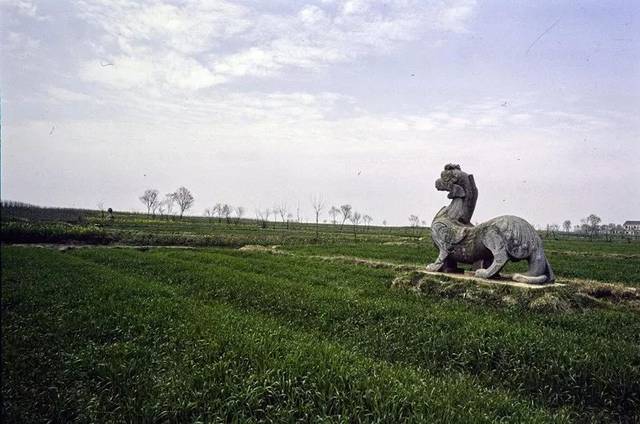 帝陵视野:八十年代的南朝陵墓石刻