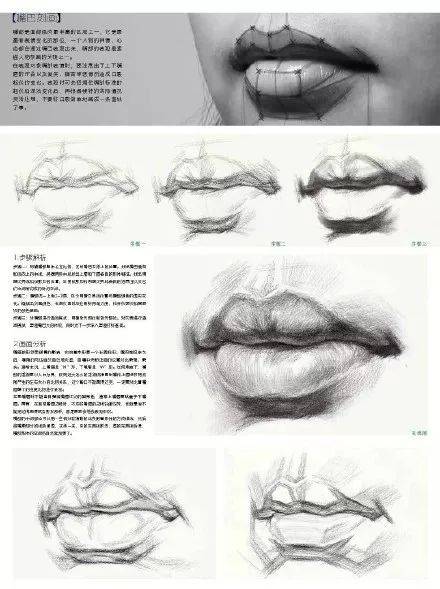 嘴巴结构  嘴巴以m和w字母组合 上嘴唇薄,下嘴唇厚 画出来的嘴巴才有