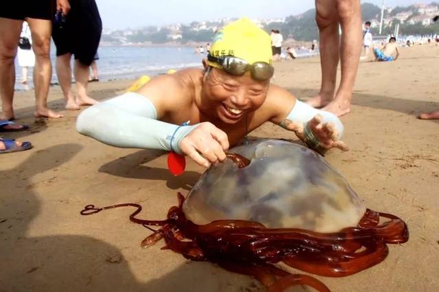 青岛大爷徒手捕海蜇!洗个海澡,连下酒菜都捞上来了!