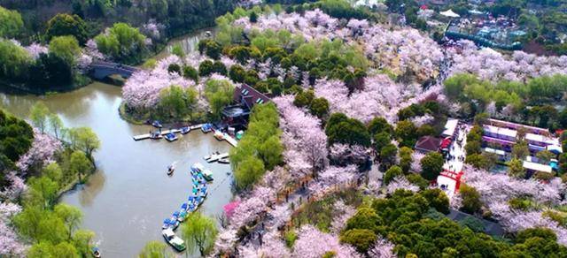 上海顾村公园