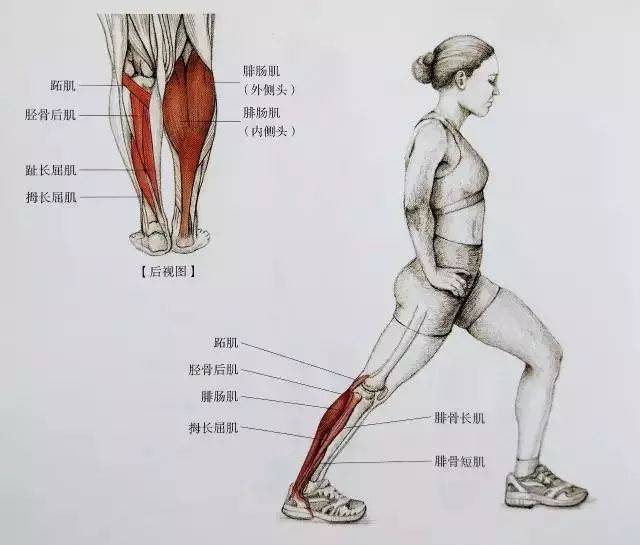 推墙脚跟踩地的小腿拉伸