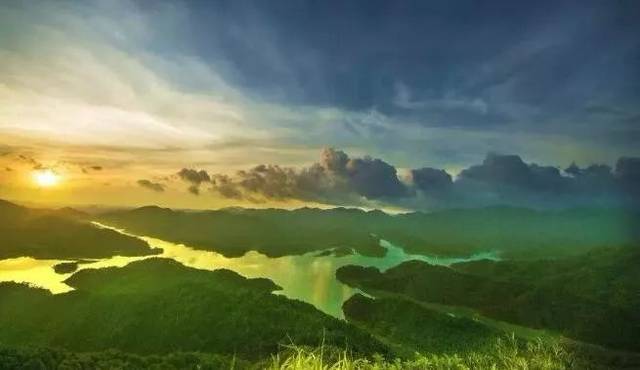 森林巡护员是一群什么样的人?他们收入微薄忠