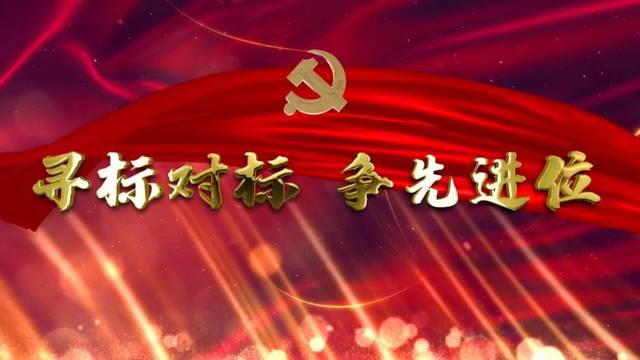 寻标对标,争先进位‖祝阳镇:比学赶超 走在前列_手机搜狐网