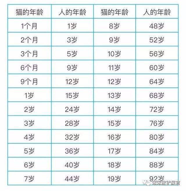 猫每12个月就相当人类4~5岁,给你看一张猫咪和人的年龄对照表猫咪从