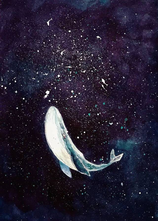视觉体验 | 鲸落