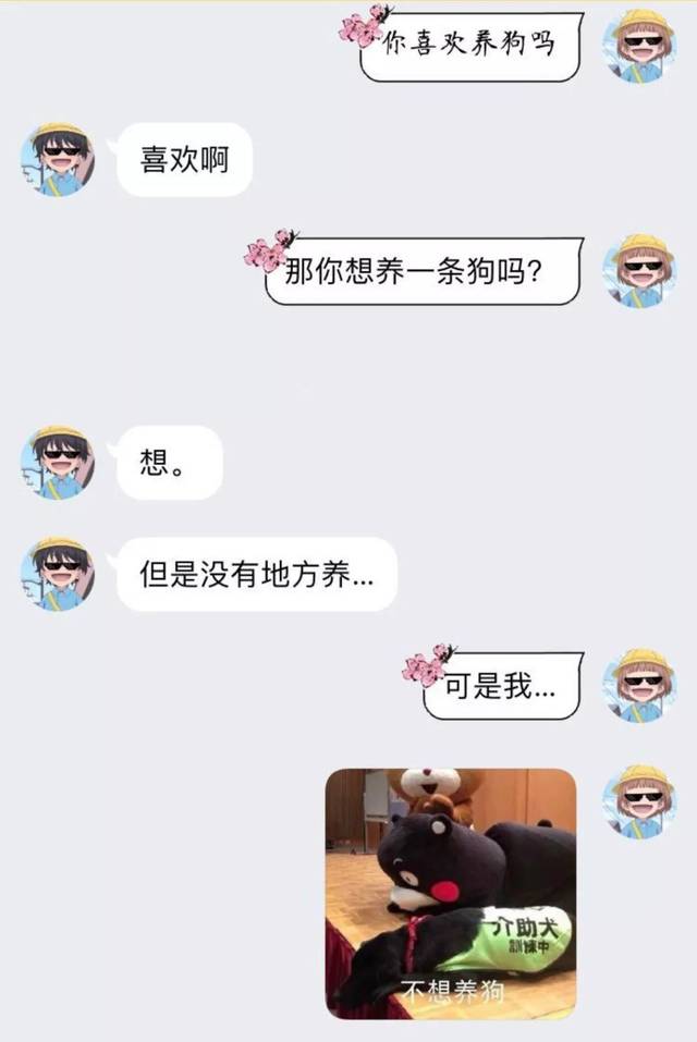 聊天套路丨你喜欢养狗吗